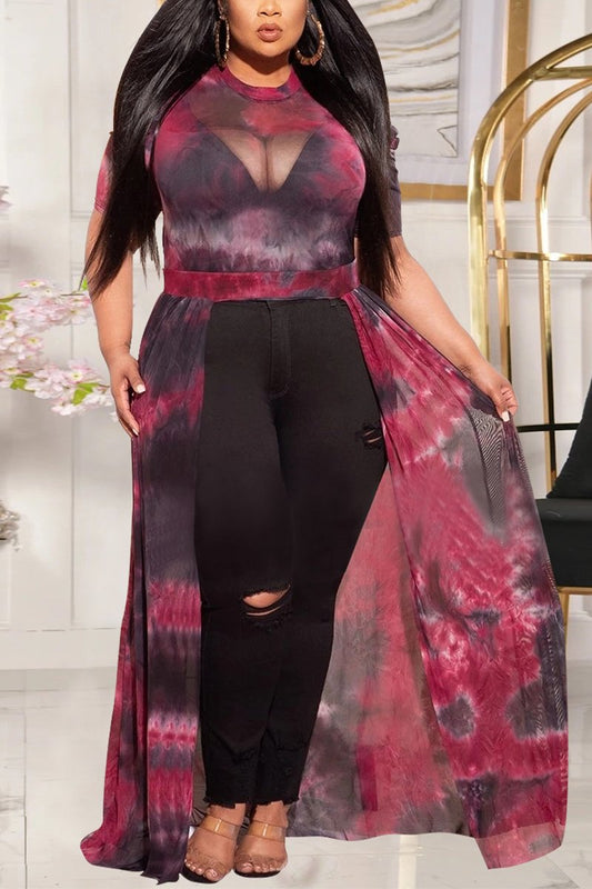 Plus Size Asymmetric Hem See-through Dress