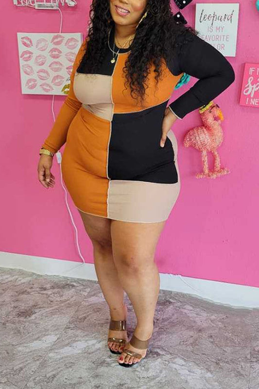 Plus Size Color Block Bodycon Mini Dress